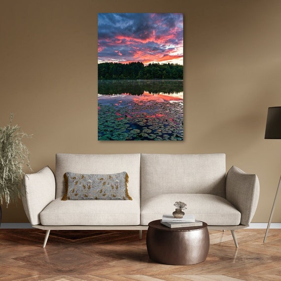 Lily Pads - Hinckley, OH