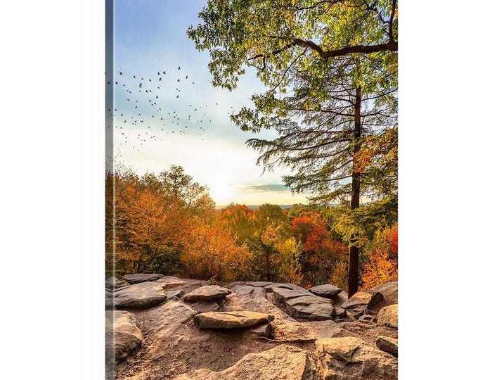 Cuyahoga Valley National Park Kendall Ledges Canvas (Ready to Hang) | Ohio | Cleveland | Akron | Landscape Prints | National Park Wall Art