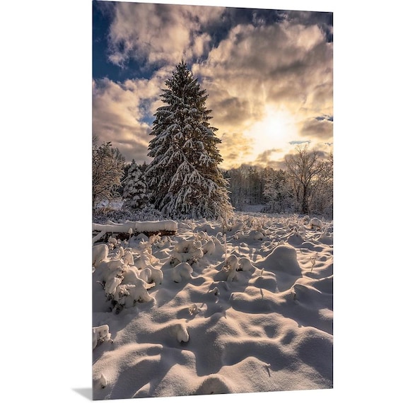 Winter Wonderland - Cuyahoga Valley National Park