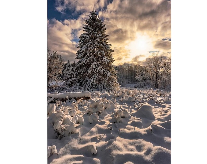 Winter Wonderland | Cuyahoga Valley National Park | NPS | Ohio | Winter Photography | Winter Landscape | Winter Wall Decor | Winter Canvas