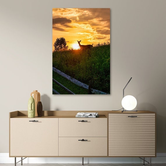 Summer in Ohio- Bath Township, OH