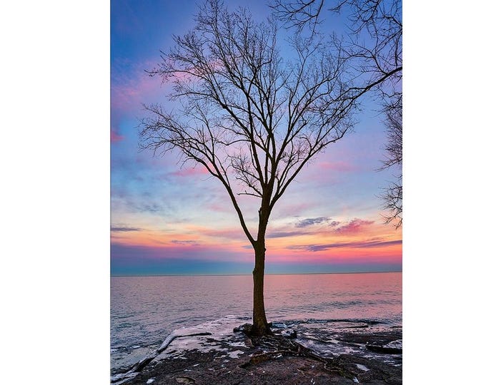 Marblehead Sunset, Ohio  | Lake Erie | Sunset Photography | Nature Photos | Colorful Wall Art | Fine art prints | Beautiful tree | Landscape