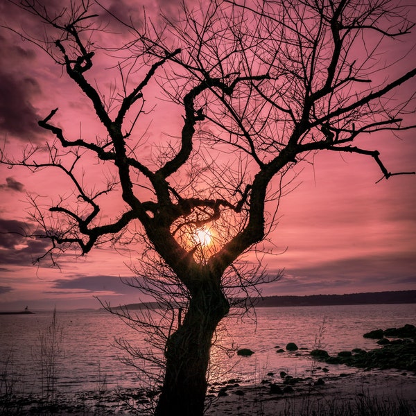 Right place, right time - Gloucester, MA (Fine Art Print)