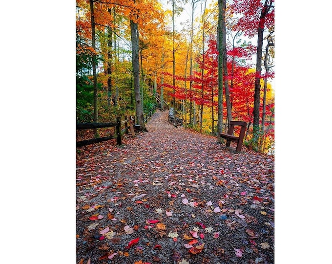 Autumn in Rocky River - Ohio | Cleveland Metroparks | Rocky River Reservation | Ohio Nature | Ohio Art | Cleveland Wall Decor | Autumn Decor