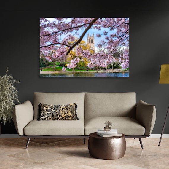 Cherry Blossoms | University Circle, Ohio | Spring Art | Flower Art | Flower Wall Decor | Flower Photo | Gift for Mom | Cleveland, Ohio