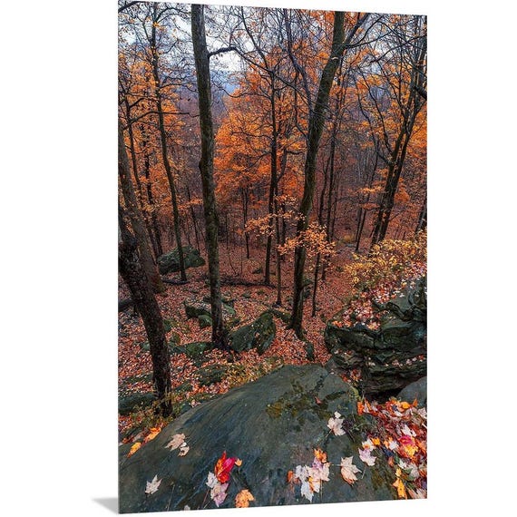 Whipps Ledges - Hinckley, Ohio