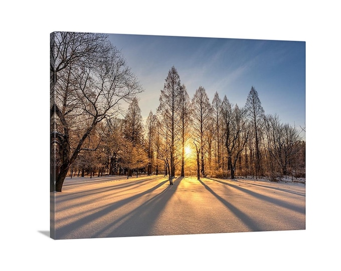 Winter Sunrise Canvas (Ready to Hang) | Brecksville Reservation, OH | Winter Landscape | Winter Silhouette | Cleveland Metroparks | Ohio Art