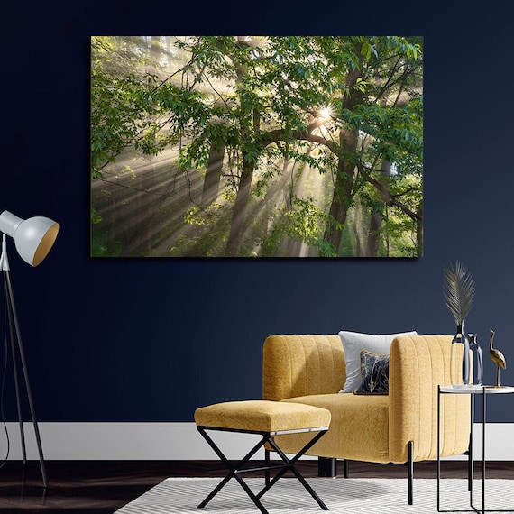 Shining Through - Great Smokey Mountains