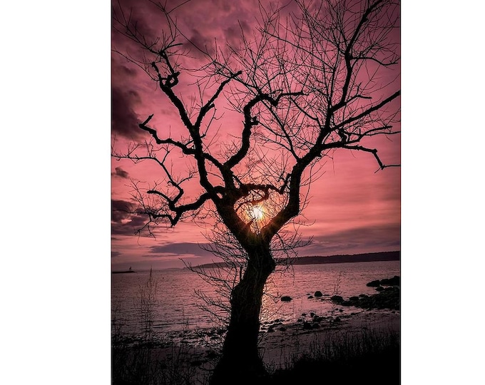 Right place, right time - Gloucester, MA (Fine Art Print)