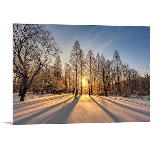 Winter Sunrise - Brecksville Reservation, OH