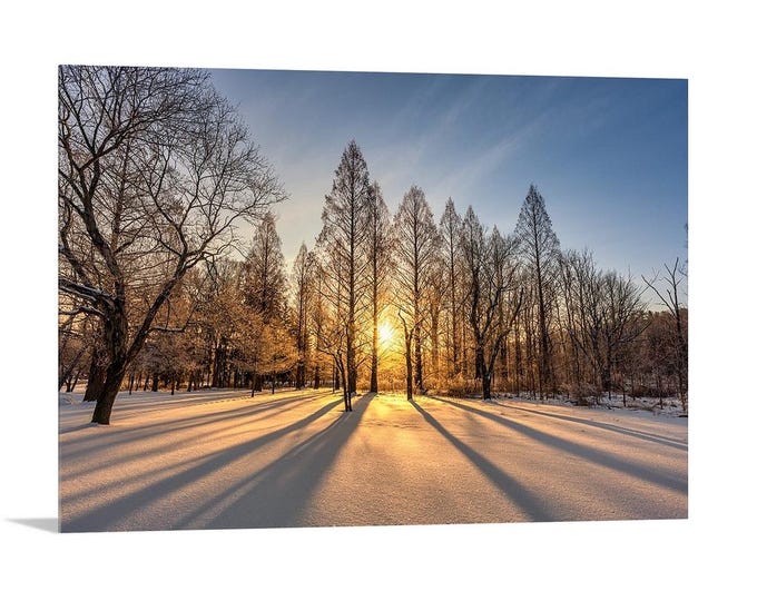 Winter Sunrise - Brecksville Reservation, OH | Winter Landscape | Winter Silhouette | Cleveland Metroparks | Ohio Winter | Ohio Parks | Gift