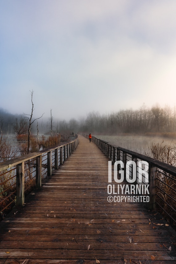 Foggy morning at Beaver Marsh - Cuyahoga Valley National Park