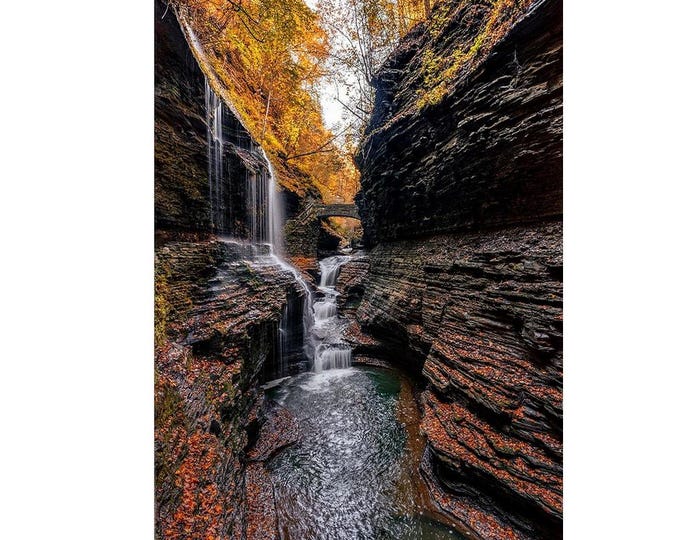 Watkins Glen - New York | Waterfall | New York Art | New York Prints | Waterfall Photography | New York Home Decor | Hiking Art | Autumn Art