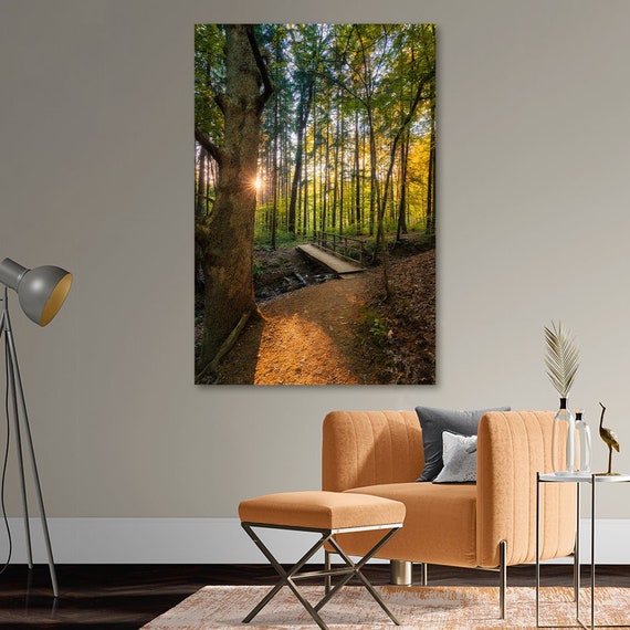 Furnace Run Trail - Cuyahoga Valley National Park, Ohio | Landscape Photography | Akron | Cleveland | Hiking Wall Art | Forest Wall Decor
