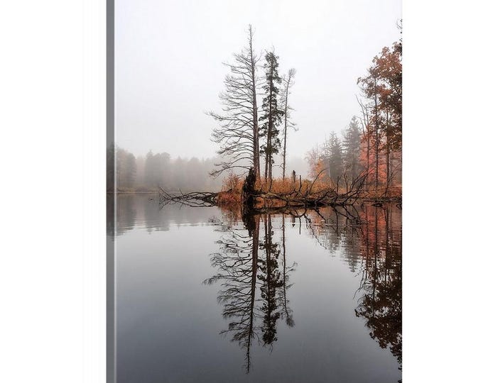 Reflections (Ready to Hang Canvas) | Richfield Heritage Preserve, Ohio | Cleveland | Akron | Landscape Prints | National Park Wall Art