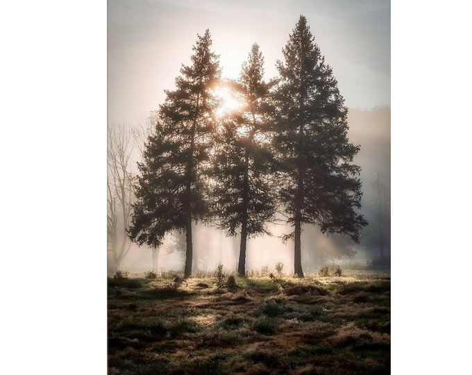 First Light | Cuyahoga Valley National Park | Cleveland | Ohio | Ohio | Cleveland | Akron | Landscape Prints | Landscape Photography