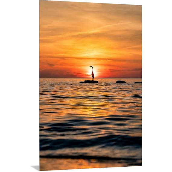 Great Blue Heron - Lake Erie, OH