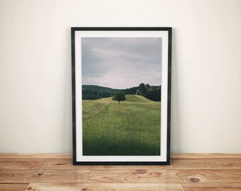 Green summer glade with tree in forest and sky, Digital Download, Printable Art, Landscape Photography, Travel Photography