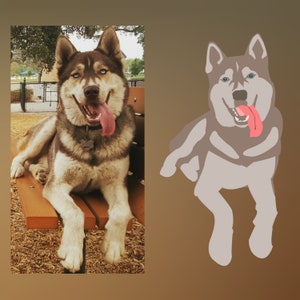 Pu&ograve; includere: Un cane husky marrone e bianco con occhi azzurri e la lingua rosa che sporge. Il cane &egrave; seduto su una panchina di legno con trucioli di legno marroni sul terreno.