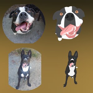 Pu&ograve; includere: Quattro immagini di cani con pelo bianco e nero. La prima immagine mostra un cane con la lingua di fuori, che guarda direttamente la fotocamera. La seconda immagine mostra un'illustrazione in stile cartone animato di un cane con la lingua di fuori. La terza immagine mostra un cane con la lingua di fuori, che guarda a destra. La quarta immagine mostra un'illustrazione in stile cartone animato di un cane con la lingua di fuori.