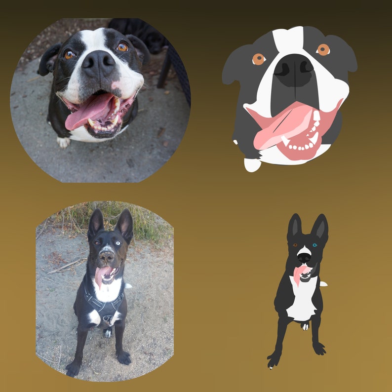 Pu&ograve; includere: Quattro immagini di cani con pelo bianco e nero. La prima immagine mostra un cane con la lingua di fuori, che guarda direttamente la fotocamera. La seconda immagine mostra un'illustrazione in stile cartone animato di un cane con la lingua di fuori. La terza immagine mostra un cane con la lingua di fuori, che guarda a destra. La quarta immagine mostra un'illustrazione in stile cartone animato di un cane con la lingua di fuori.