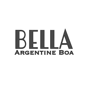 Argentine Boa Vinyl Name Decal Custom - Personalized Vinyl Sticker for Enclosure - Art Deco Font