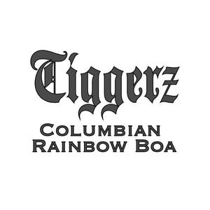 May include: The image displays the text "Tiggerz" in a stylized, gothic font above the words "Columbian Rainbow Boa" in a simpler, sans-serif font. The text is in dark gray against a white background.