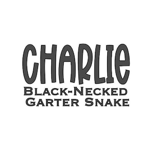 Strumpfbandschlange Name Aufkleber - Personalisierter Vinyl Aufkleber für Gehäuse