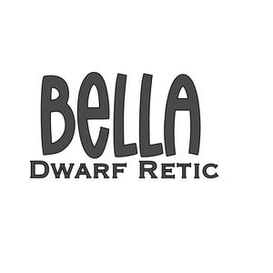 Dwarf Retic Vinyl Name Aufkleber Individuell - Personalisierter Vinyl Aufkleber für Gehäuse - Retikuliertes Python