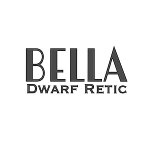 ドワーフ・レティキュレイテッド・パイソン ビニール製ネームデカール カスタム - エンクロージャー用パーソナライズビニールステッカー - アールデコフォント - ドワーフ・レティキュレイテッド