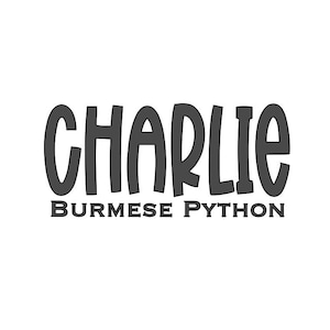 Burmese Python Custom Vinyl Name Decal - Personalized Vinyl Sticker for Enclosure