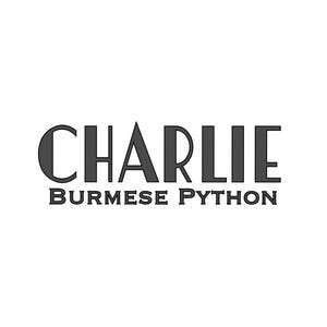 Birmanischer Python Vinyl Name Aufkleber Individuell - Personalisierter Vinyl Aufkleber für Gehäuse - Art Deco Schriftart