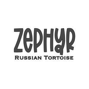 Sticker personnalisé vinyle tortue russe - Sticker vinyle personnalisé pour boîtier
