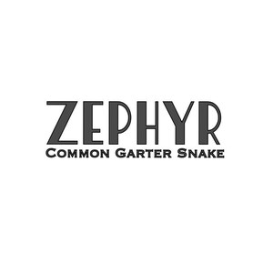 Common Garter Snake Vinyl Name Decal Custom - Personalized Vinyl Sticker for Enclosure - Art Deco Font