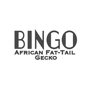 African Fat Tail Gecko Vinyl Name Decal Custom - Personalized Vinyl Sticker for Enclosure - Art Deco Font