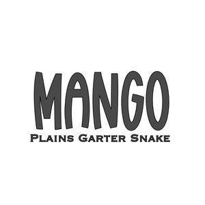 Plains Garter Snake Custom Vinyl Name Decal - Personalized Vinyl Sticker for Enclosure