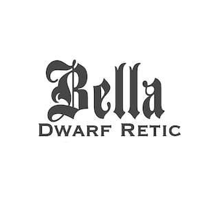 Dwarf Reticulated Python Custom Vinyl Name Decal - Personalized Vinyl Sticker for Enclosure - Agincourt Font Style -