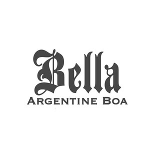 May include: The image displays the text "Bella ARGENTINE BOA" in a stylized, dark gray font against a white background. The word "Bella" is in a decorative, gothic-style font, while "ARGENTINE BOA" is in a simpler, sans-serif font.
