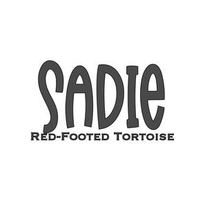 Sticker nom personnalisé en vinyle tortue aux pieds rouges - Sticker vinyle personnalisé pour boîtier