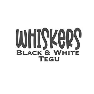 Black and White Tegu Name Decal Custom - Personalized Vinyl Sticker for Enclosure