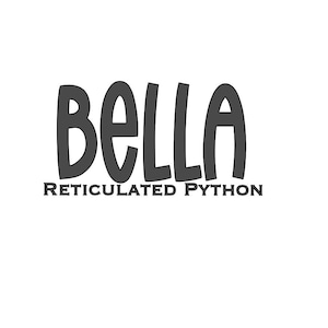 Reticulated Python Vinyl Name Decal Custom - Personalized Vinyl Sticker for Enclosure - Retic