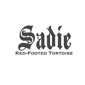 Peut inclure: Le nom "Sadie" est écrit dans une police gothique stylisée au-dessus du texte "Red-Footed Tortoise". Le texte est en gris foncé sur fond blanc. La police de caractères de "Sadie" est ornée.