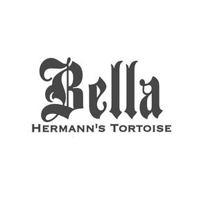 Peut inclure: L'image présente le nom "Bella" dans une police gothique stylisée au-dessus du texte "Hermann's Tortoise". Le texte est gris foncé sur fond blanc. Le design est simple et élégant, avec un choix de police classique.