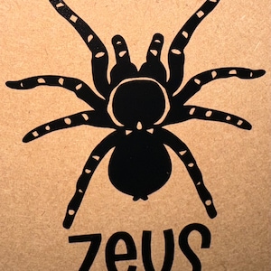 Tarantula Customized Name Vinyl Decal - Perfect for Enclosures