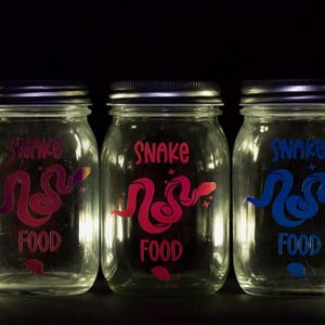 May include: Three glass jars with lids, each labeled "Snake Food" and decorated with a colorful snake design. The snakes are pink, red, and blue.