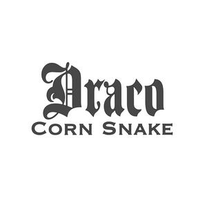 Customized Corn Snake Vinyl Name Tag - Agincourt Com Font