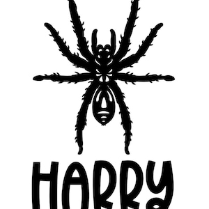 Może przedstawiać: Czarna sylwetka tarantuli z ośmioma nogami i szczegółowym ciałem. Poniżej pająka znajduje się imię "HARRY" pogrubionymi, czarnymi literami. Obraz jest na białym tle.