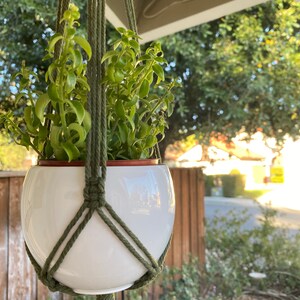 May include: A white ceramic planter with a green plant hanging from a macrame plant hanger made of green rope.