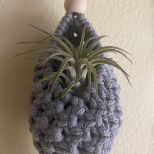 Small Macrame Air Plant Pod