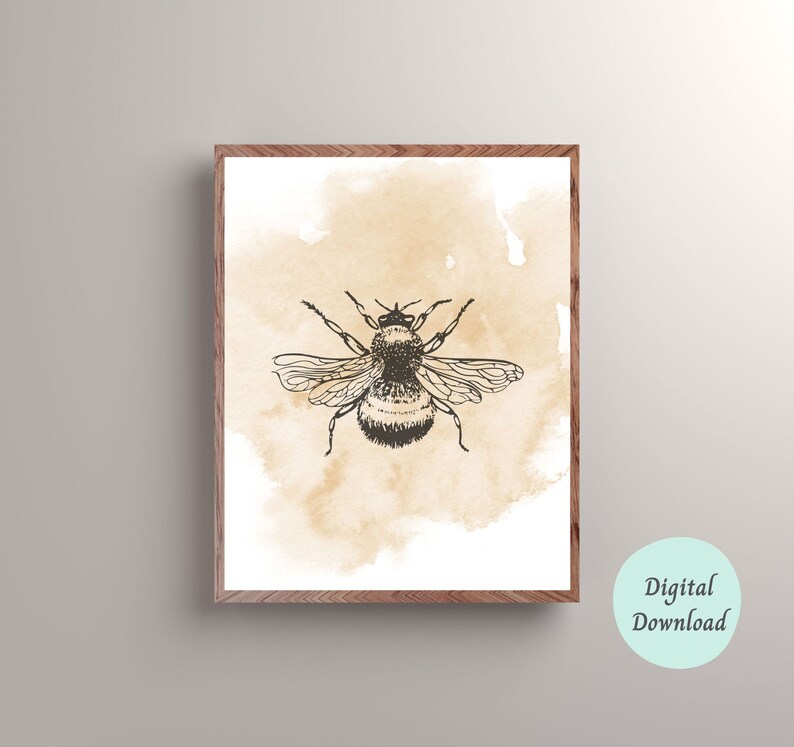 Vintage Bee Illustration Print Instant Art Printable Wall Decor Wall ...